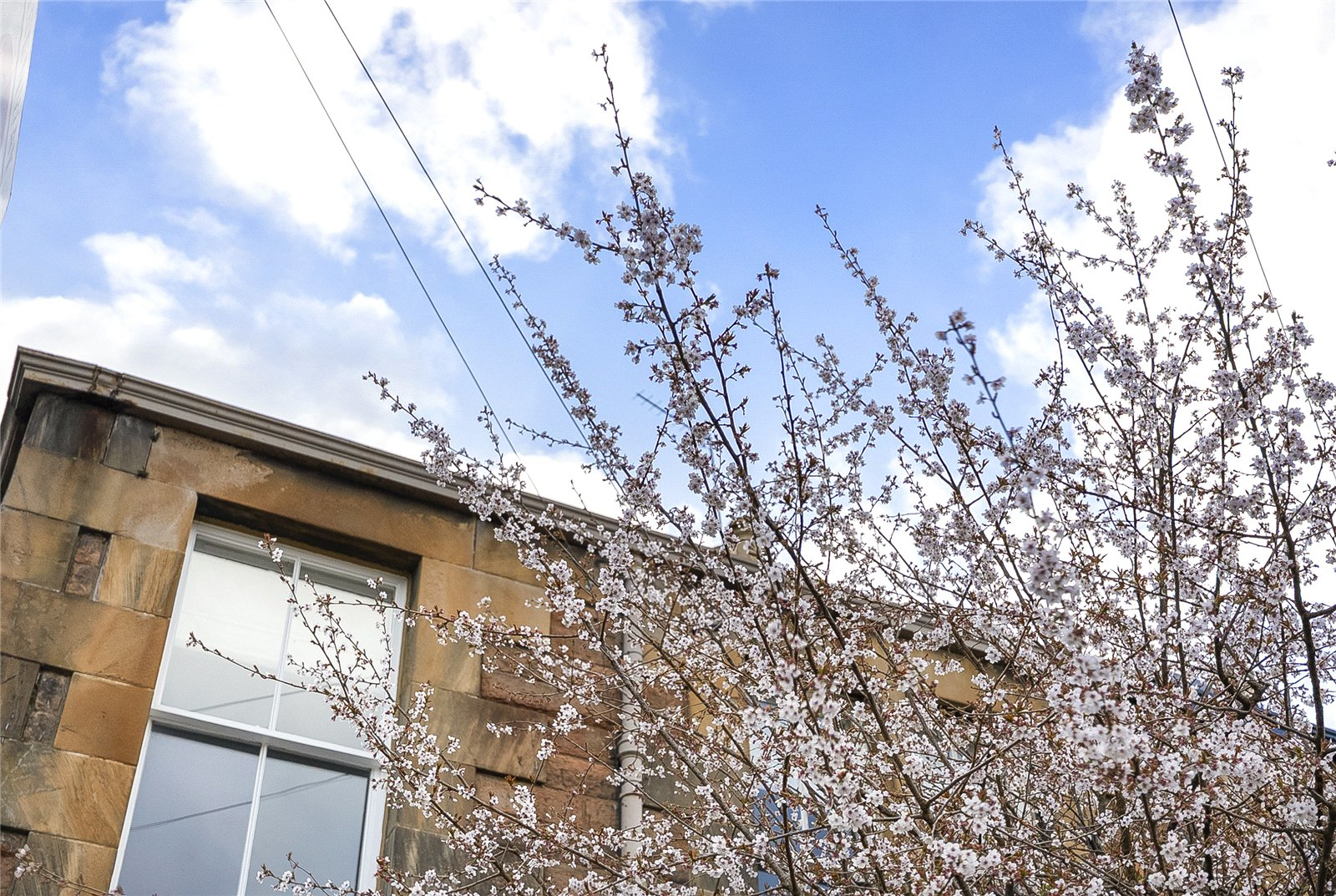 Shandon Crescent, Shandon, Edinburgh, EH11, photo 40