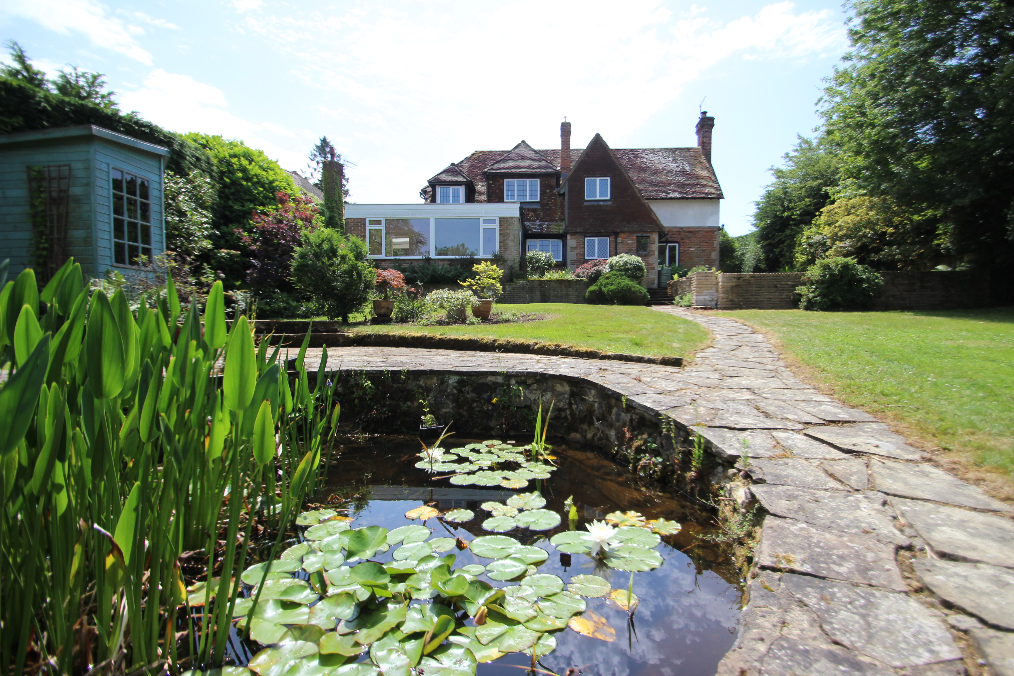 pond