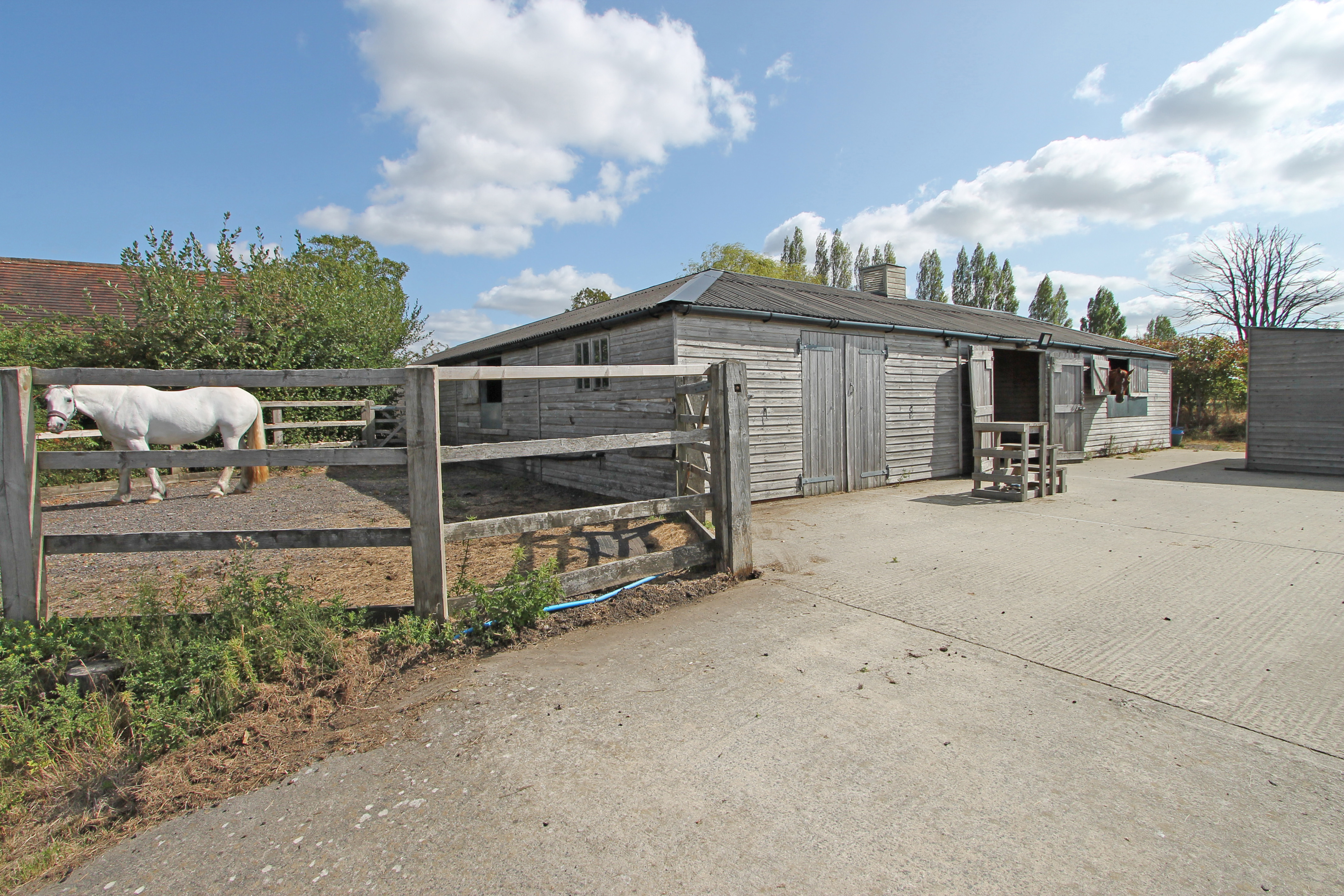 Stunts Green, Herstmonceux, BN27, photo 27