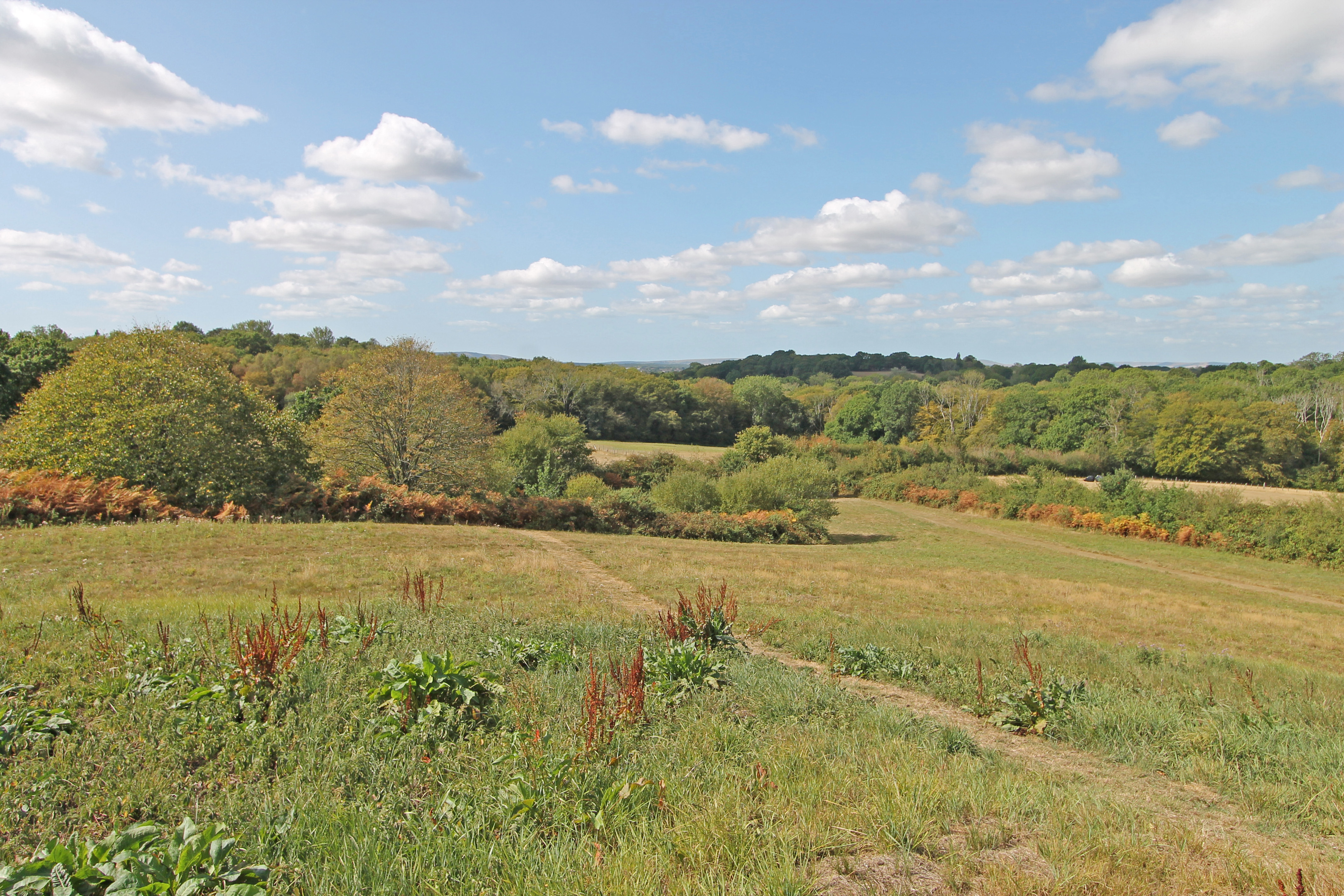 Stunts Green, Herstmonceux, BN27, photo 29