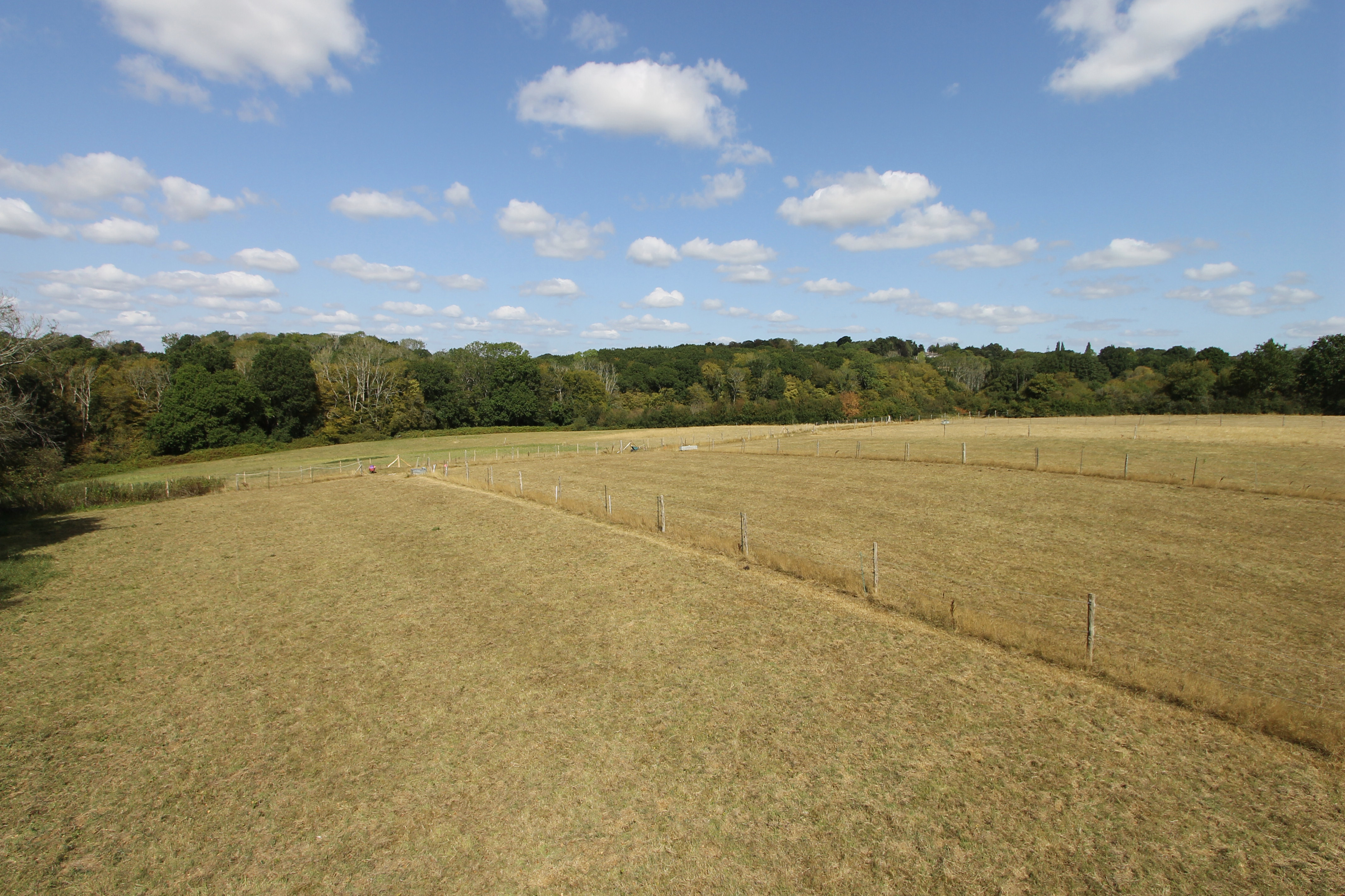 Stunts Green, Herstmonceux, BN27, photo 32