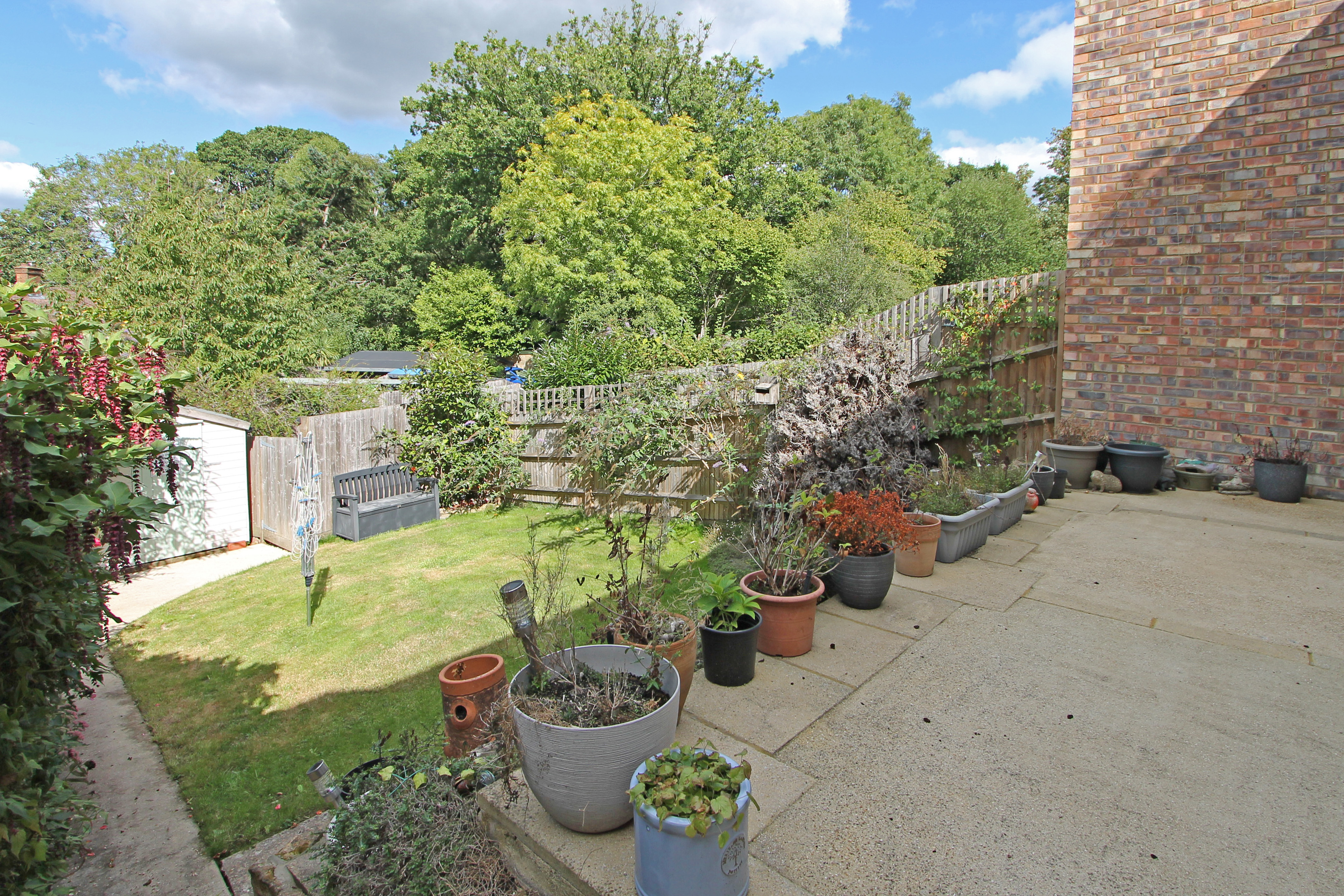 Photo 17