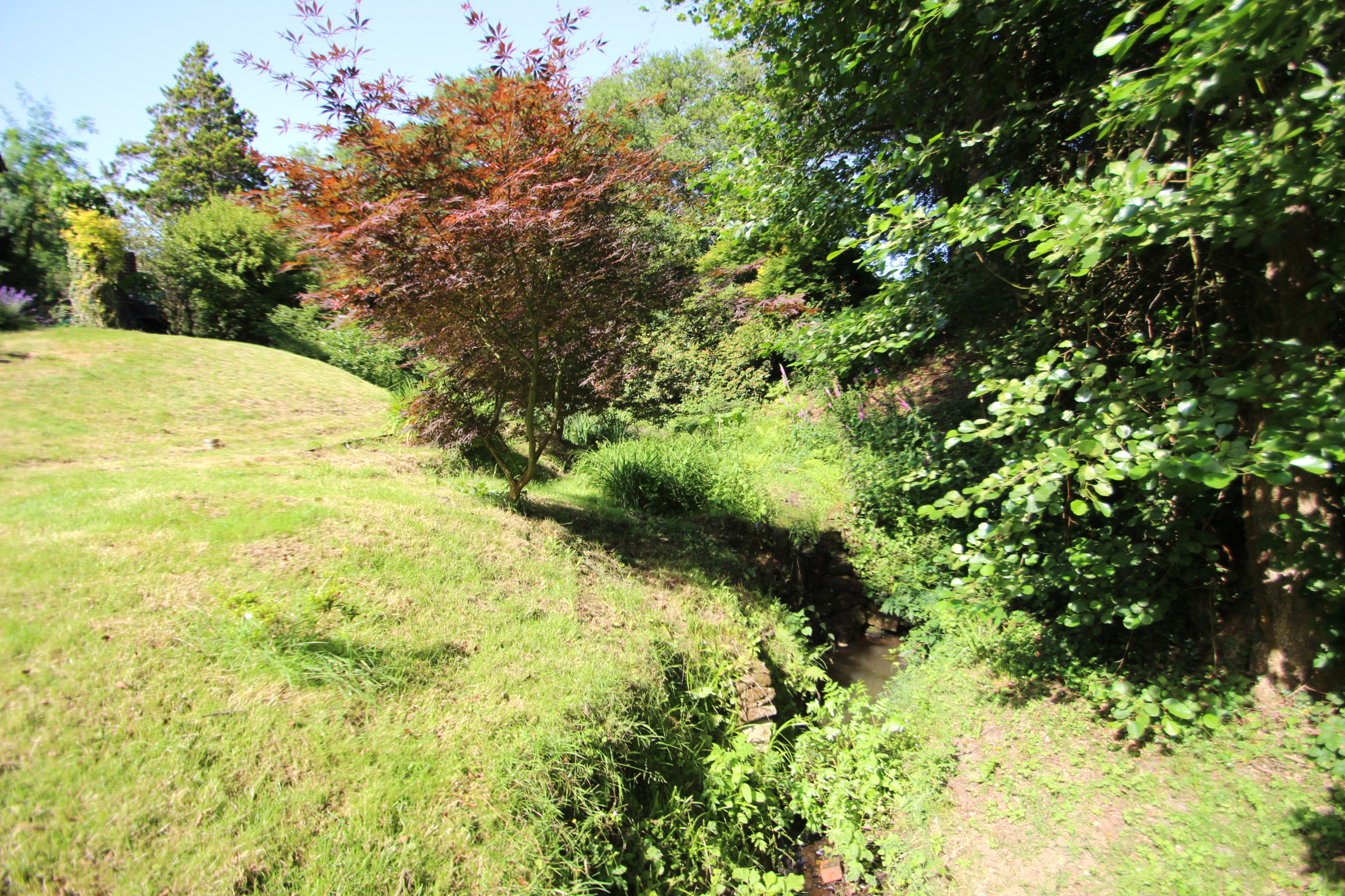 Stream