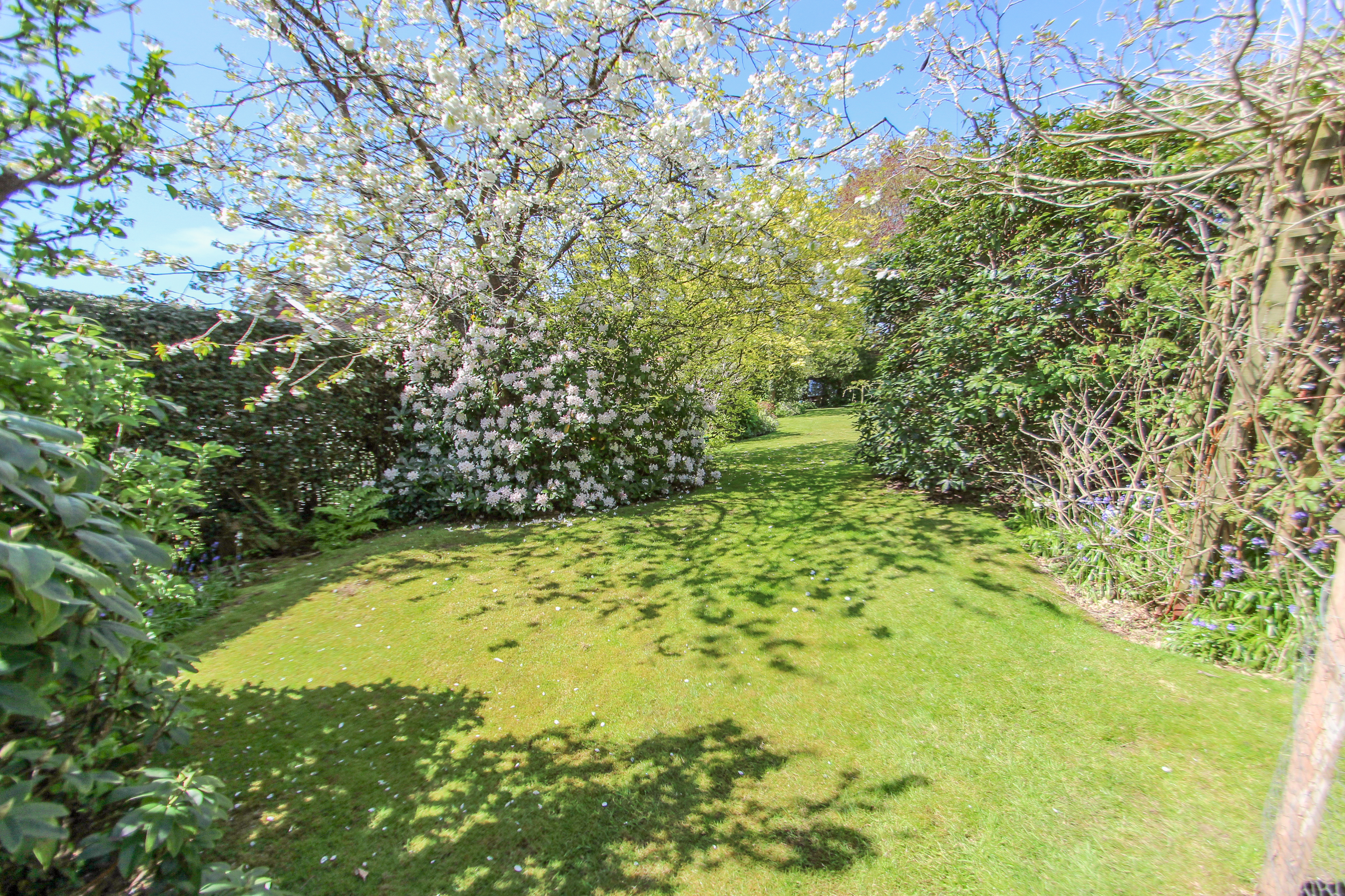 Five Ashes, Mayfield, TN20, photo 22