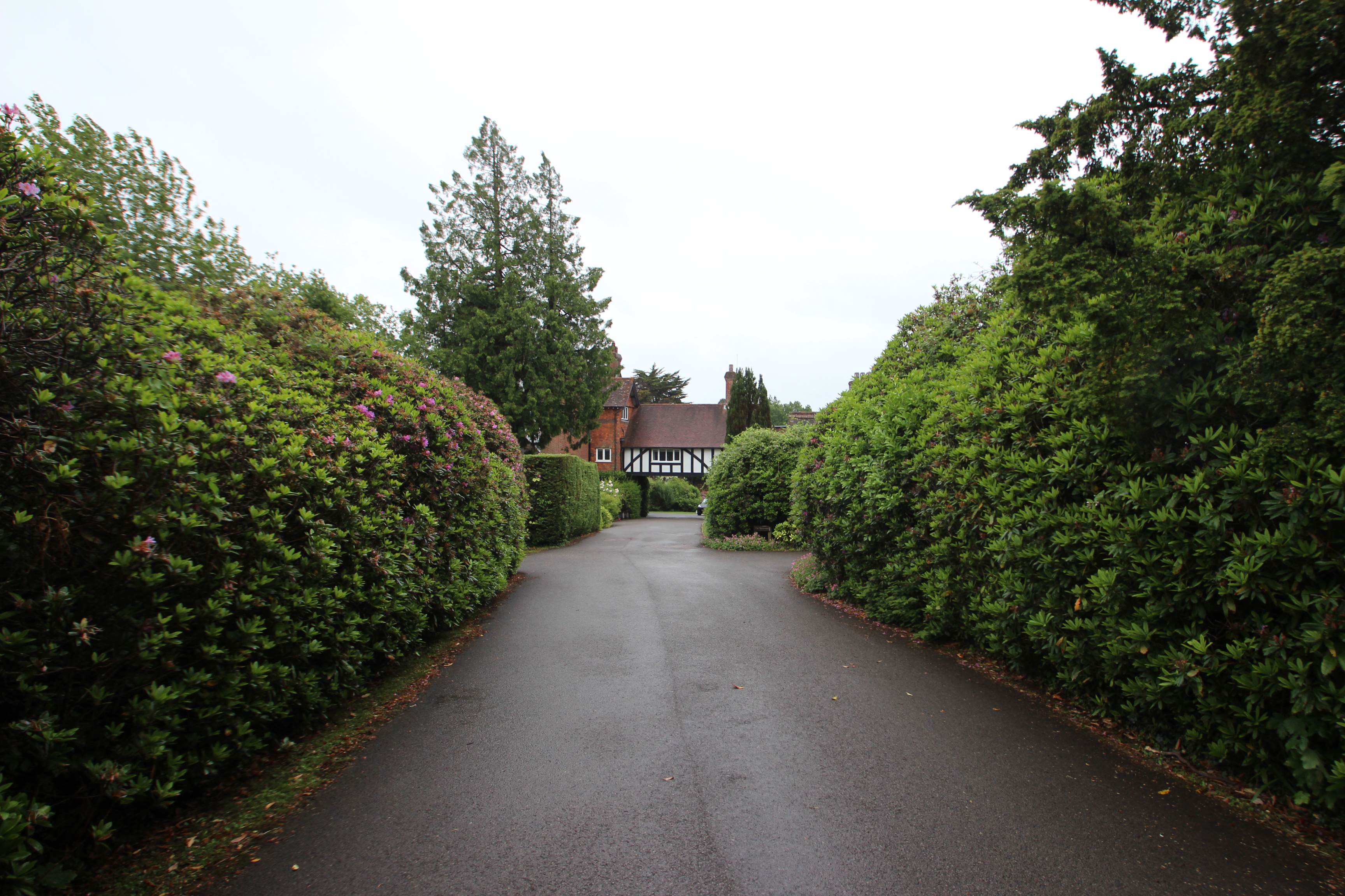 Argos Hill, Rotherfield, TN6, photo 32
