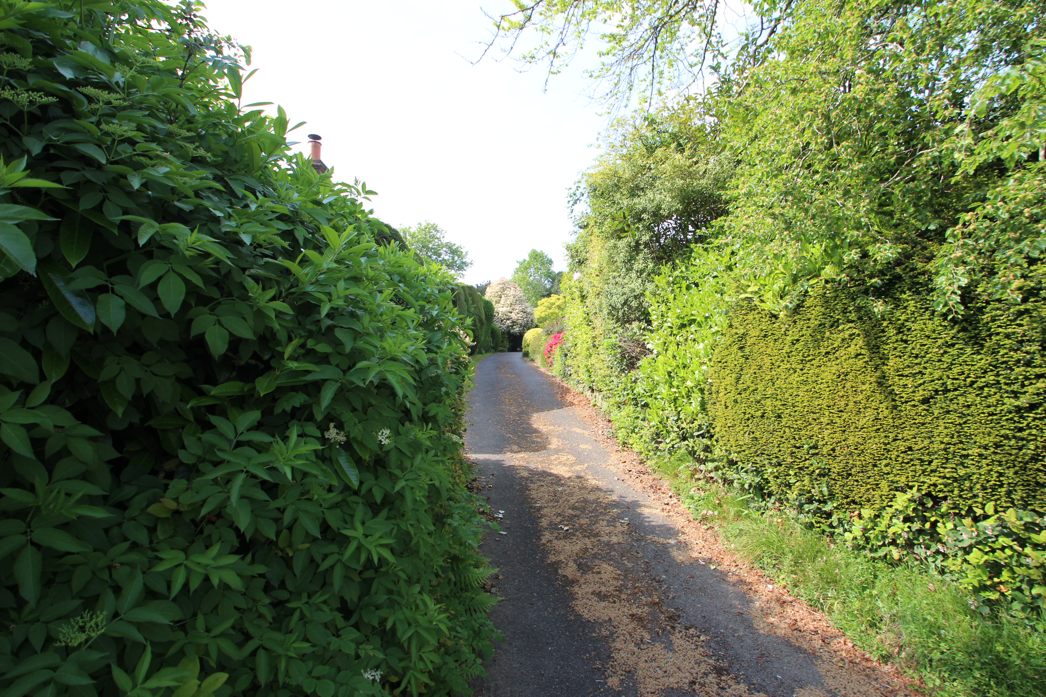 West Street, Mayfield, TN20, photo 19