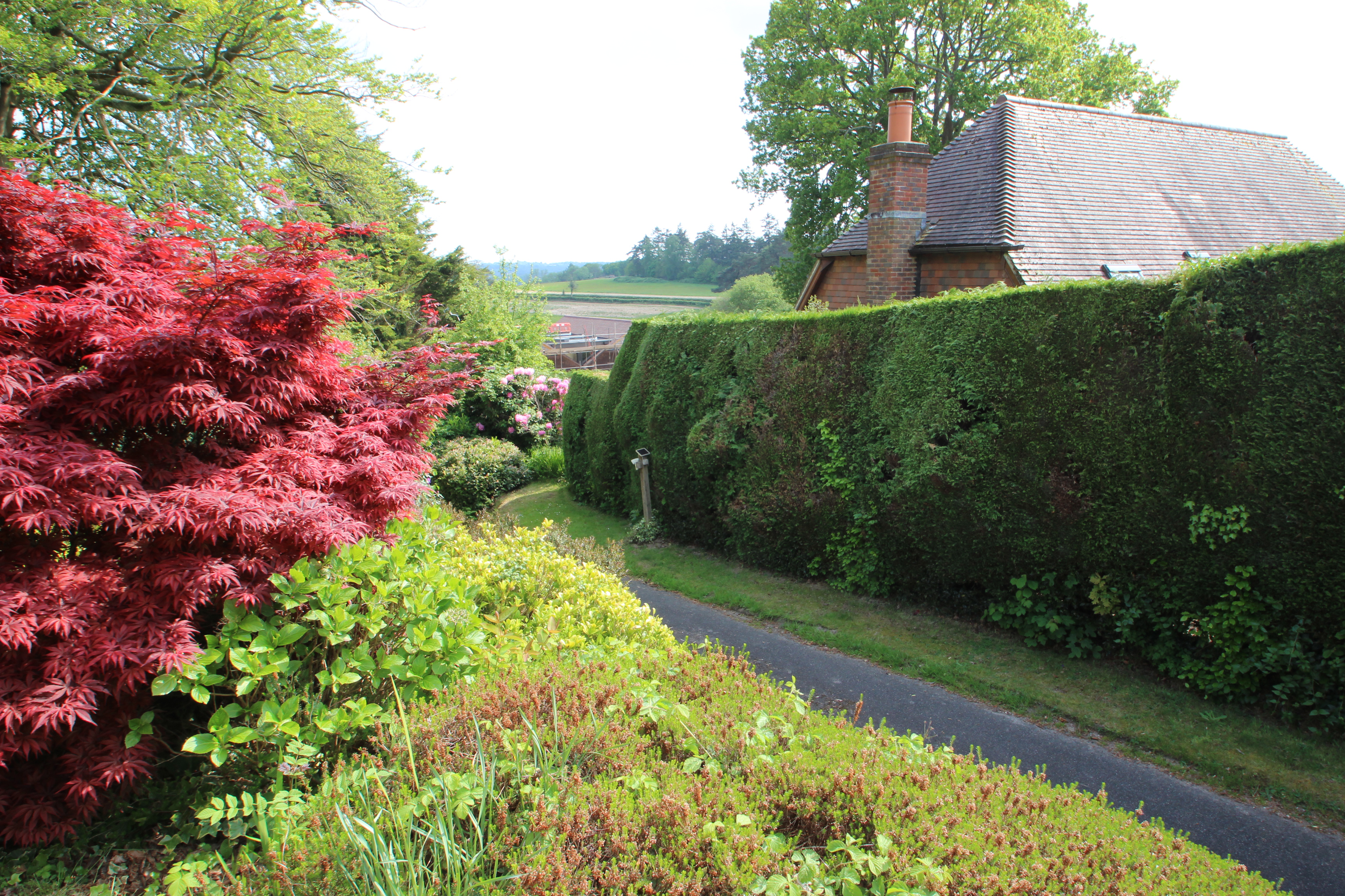 West Street, Mayfield, TN20, photo 28