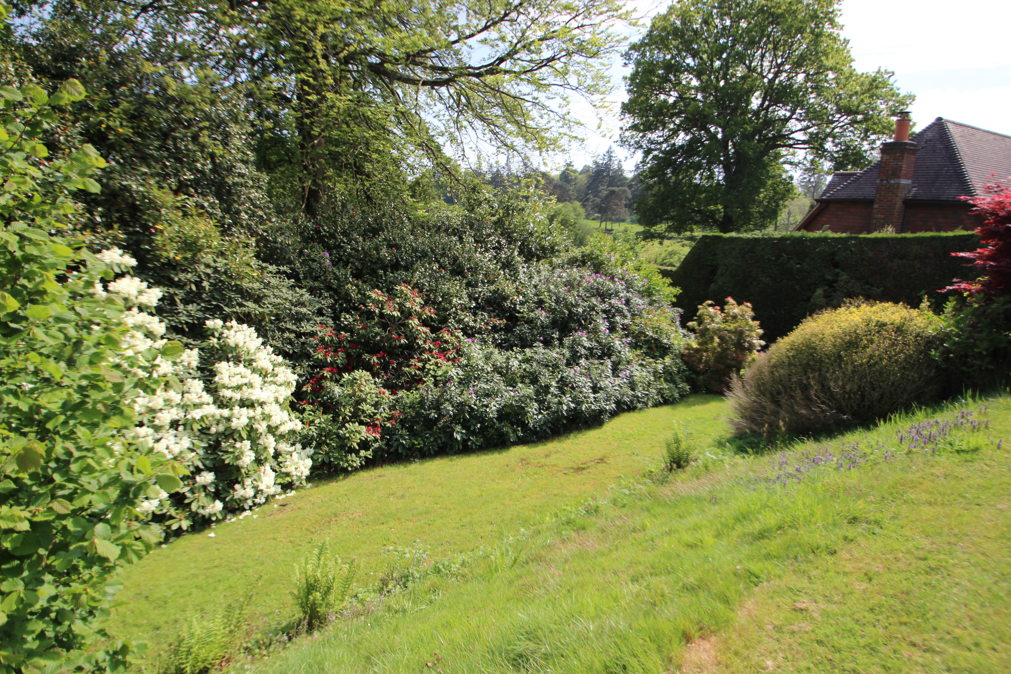 West Street, Mayfield, TN20, photo 27