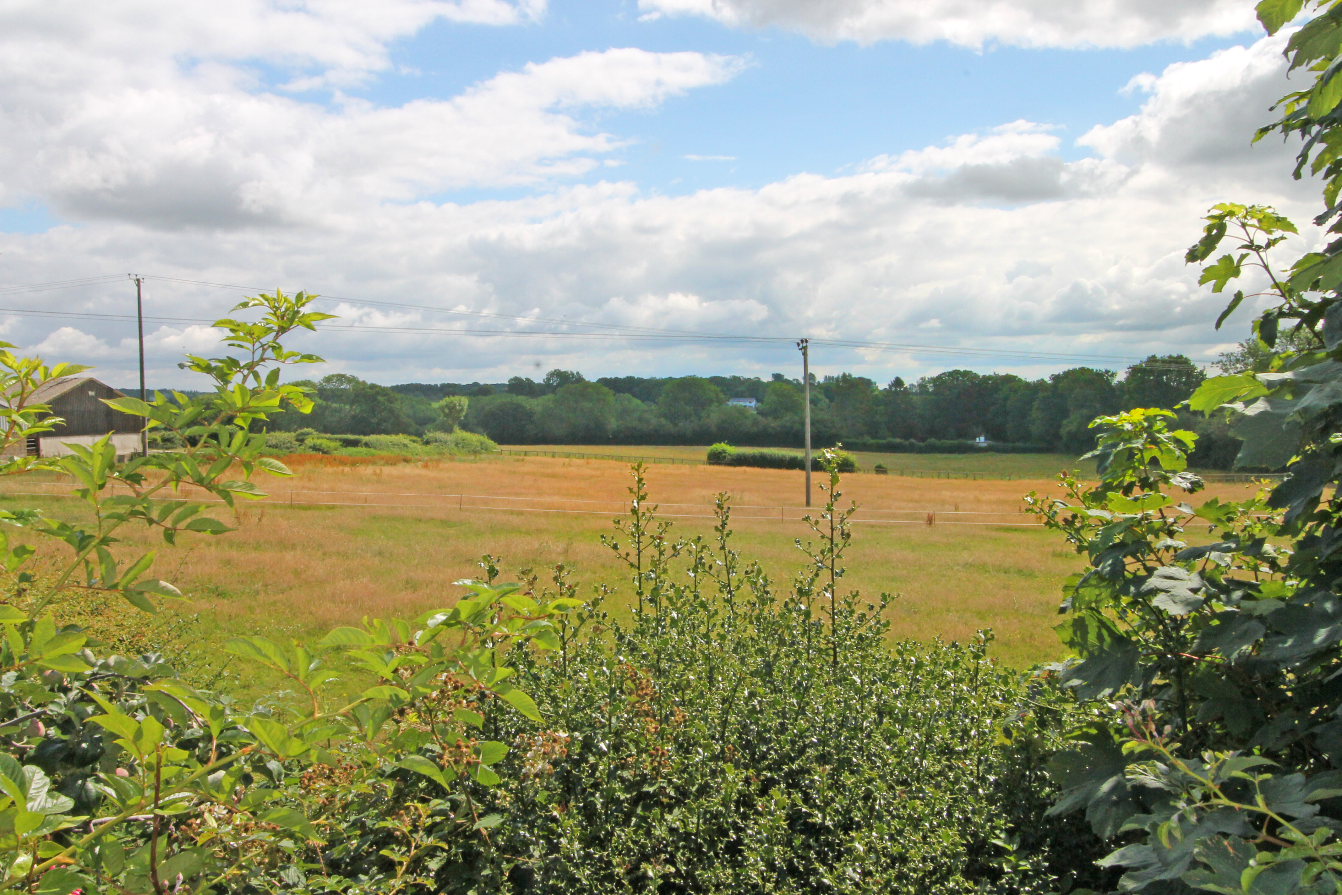 Cross Lane Gardens, Ticehurst, TN5, photo 20