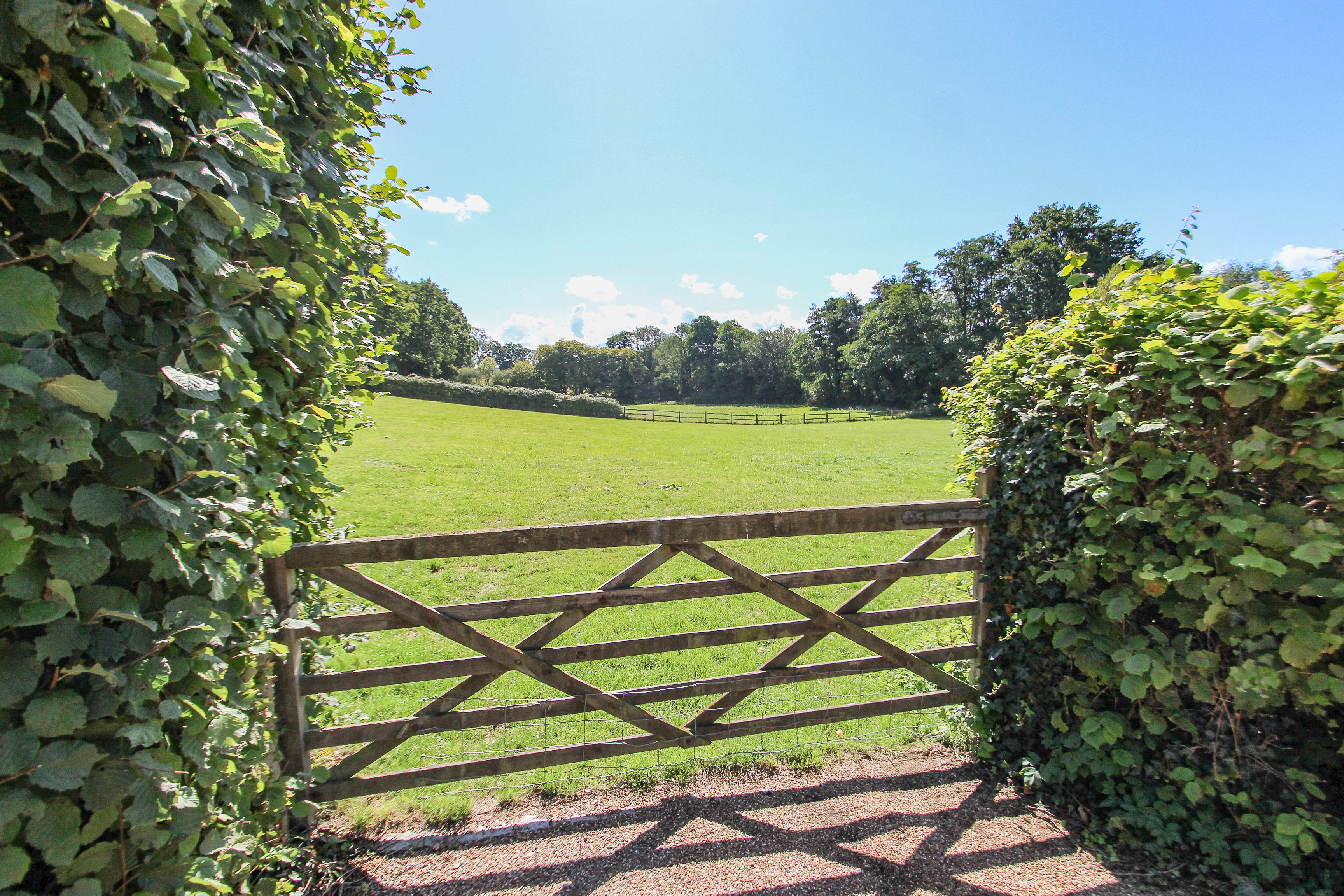 Piccadilly Lane, Mayfield, TN20, photo 32