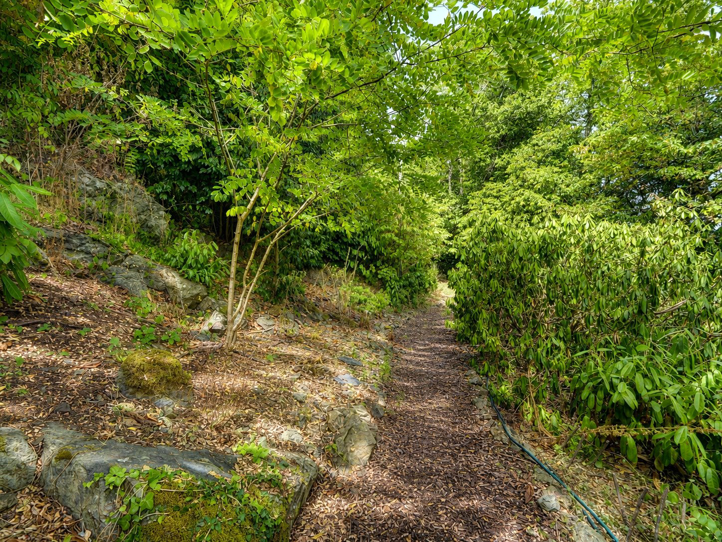 Wells Road, Malvern, Worcestershire, WR14, photo 29