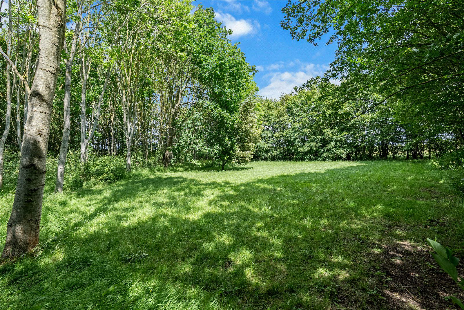 Kington Court Farm, Kington, Flyford Flavell, Worcestershire, WR7, photo 16