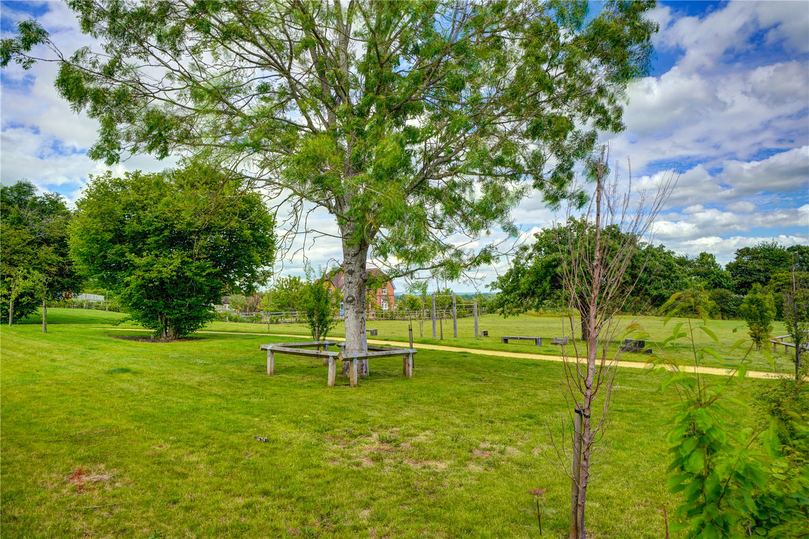Faber Orchard, Ombersley, Droitwich, Worcestershire, WR9, photo 28