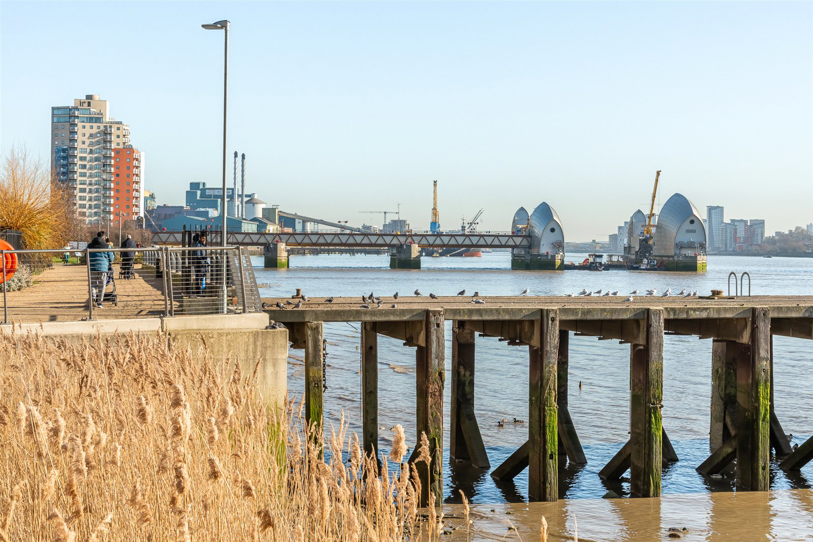 Starboard Way, London, E16, photo 14