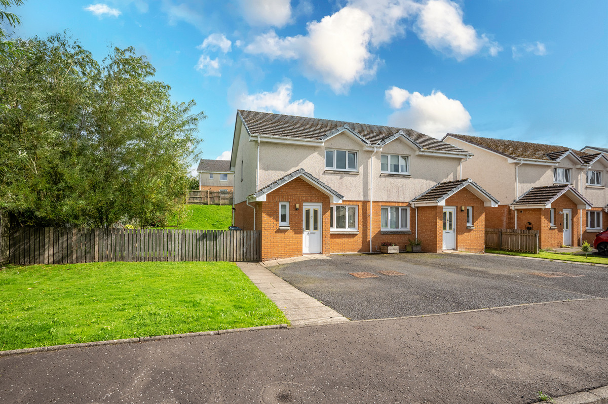 Pochard, Lesmahagow, ML11