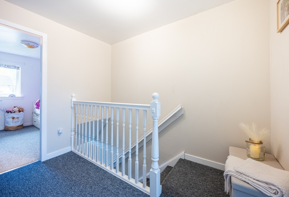 James Murdie Gardens, Hamilton, ML3, photo 13