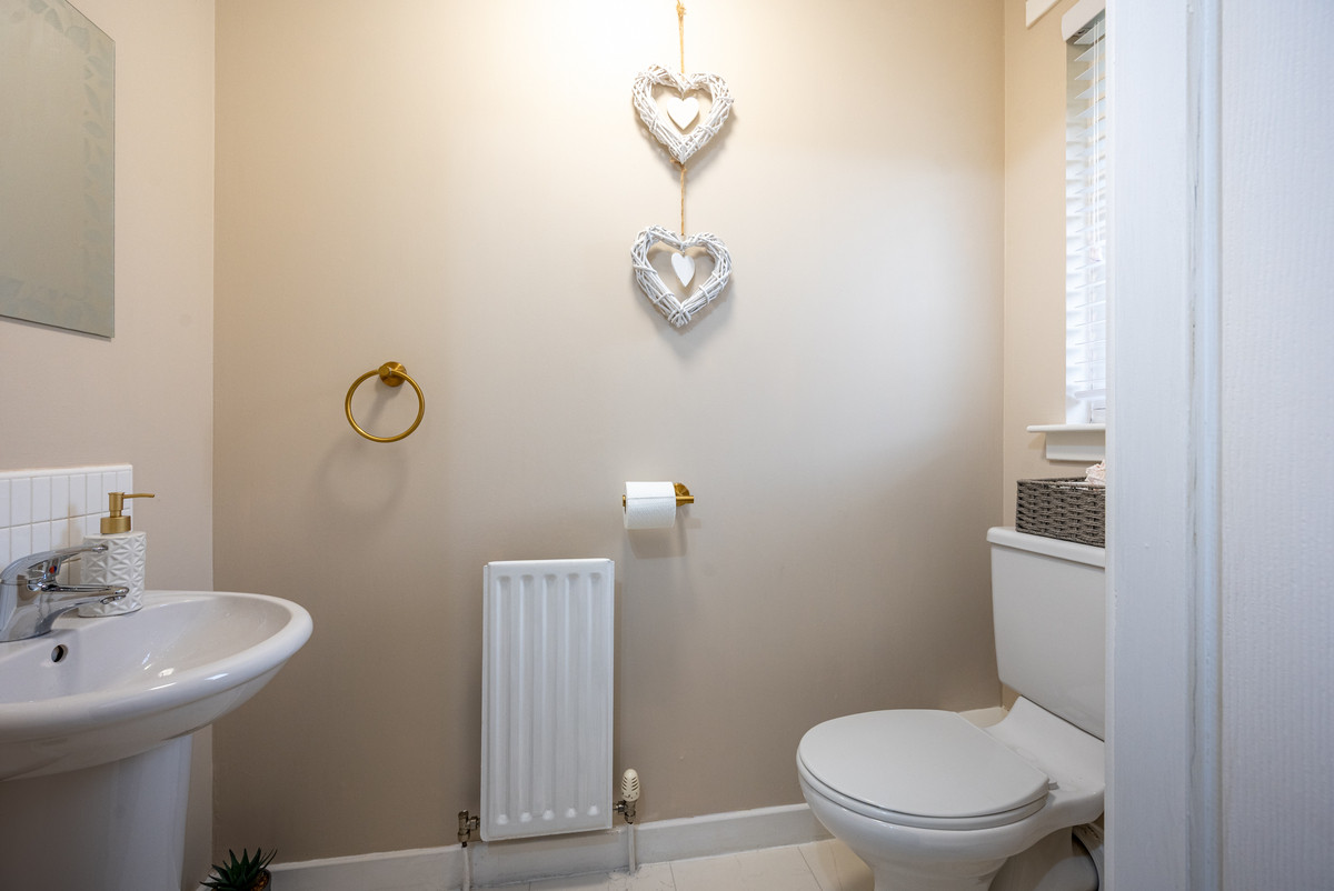 James Murdie Gardens, Hamilton, ML3, photo 12