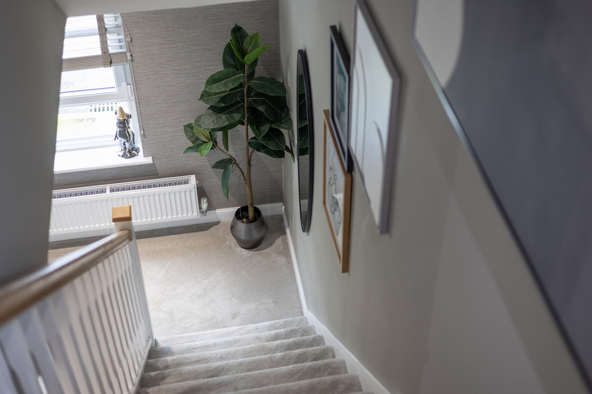 Braewell Court, Robroyston, Glasgow, G33, photo 37