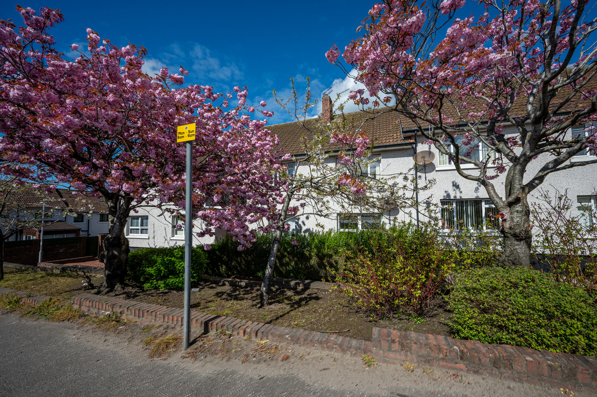 High Road, Ayr KA8 0LL, photo 17