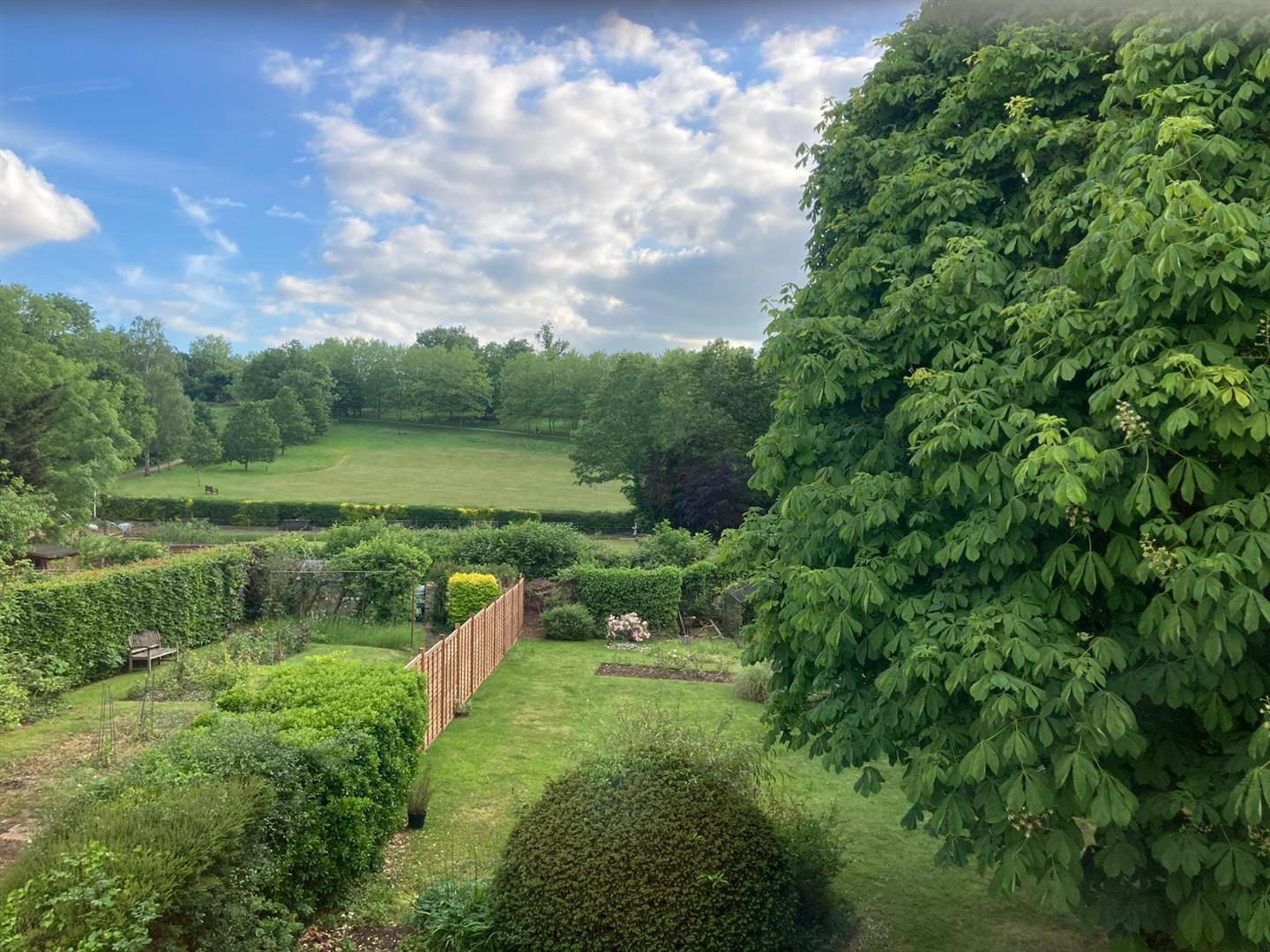 Chiltern Avenue, Bushey, WD23, photo 5