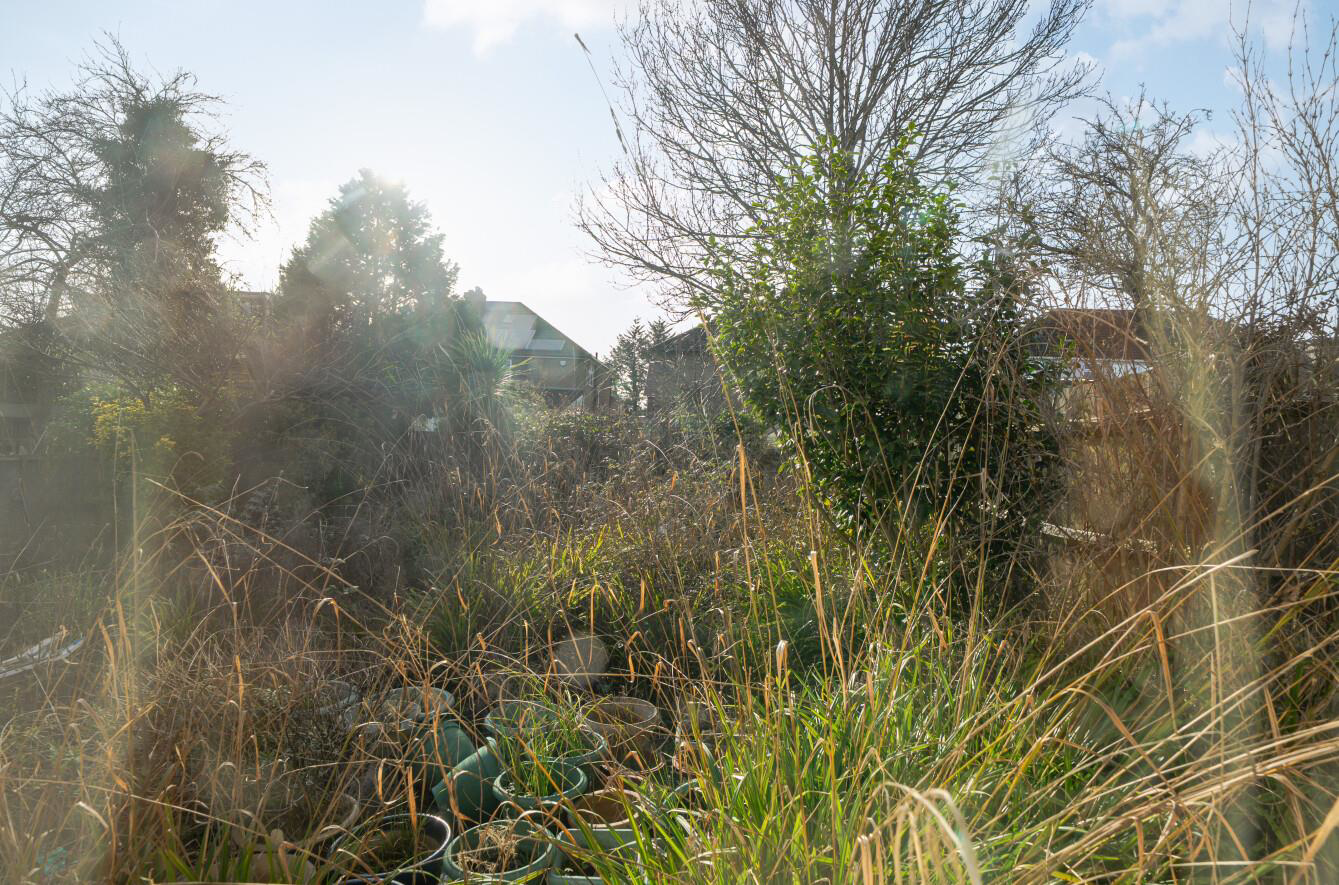 Merrion Avenue, Stanmore, HA7, photo 15