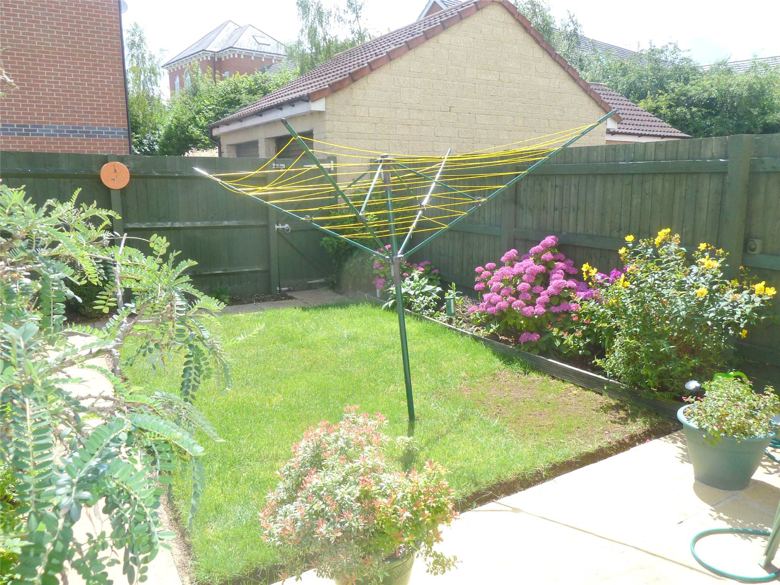 Photo 8