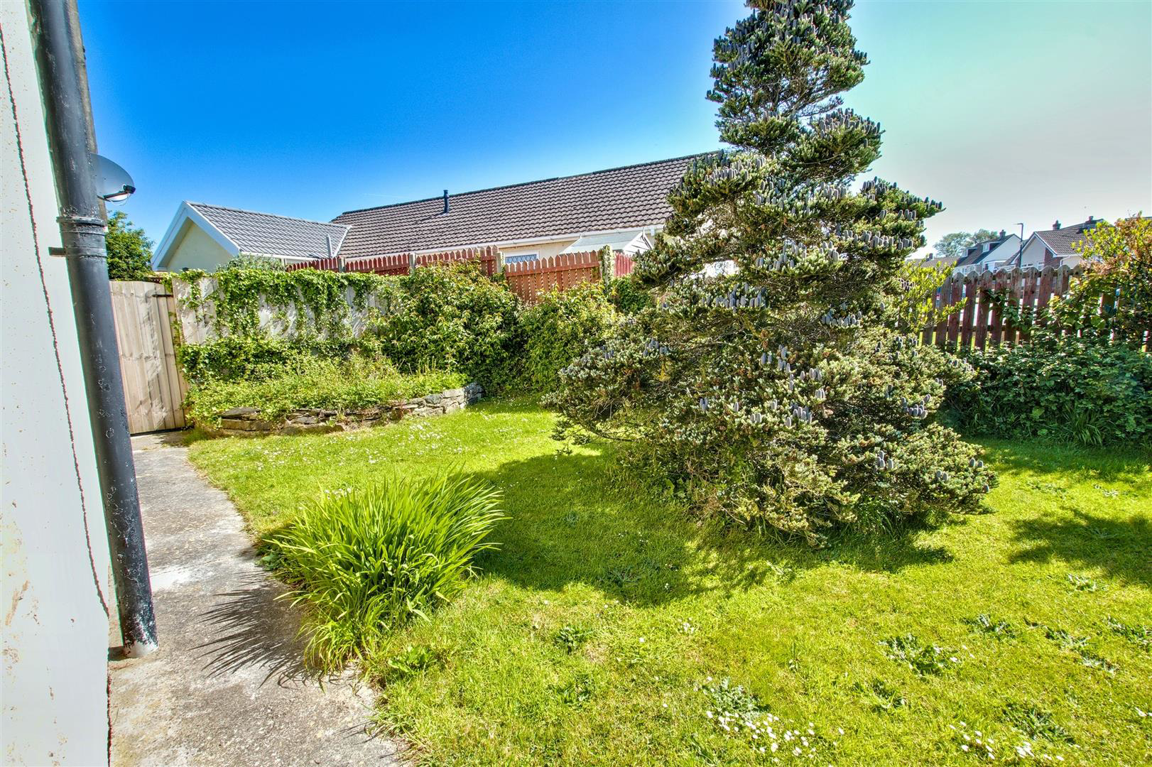 Heol Derw, Cardigan, photo 28