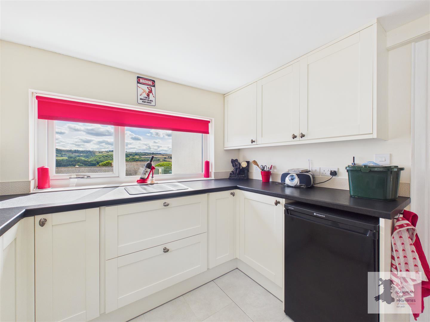 Newcastle Emlyn, photo 18