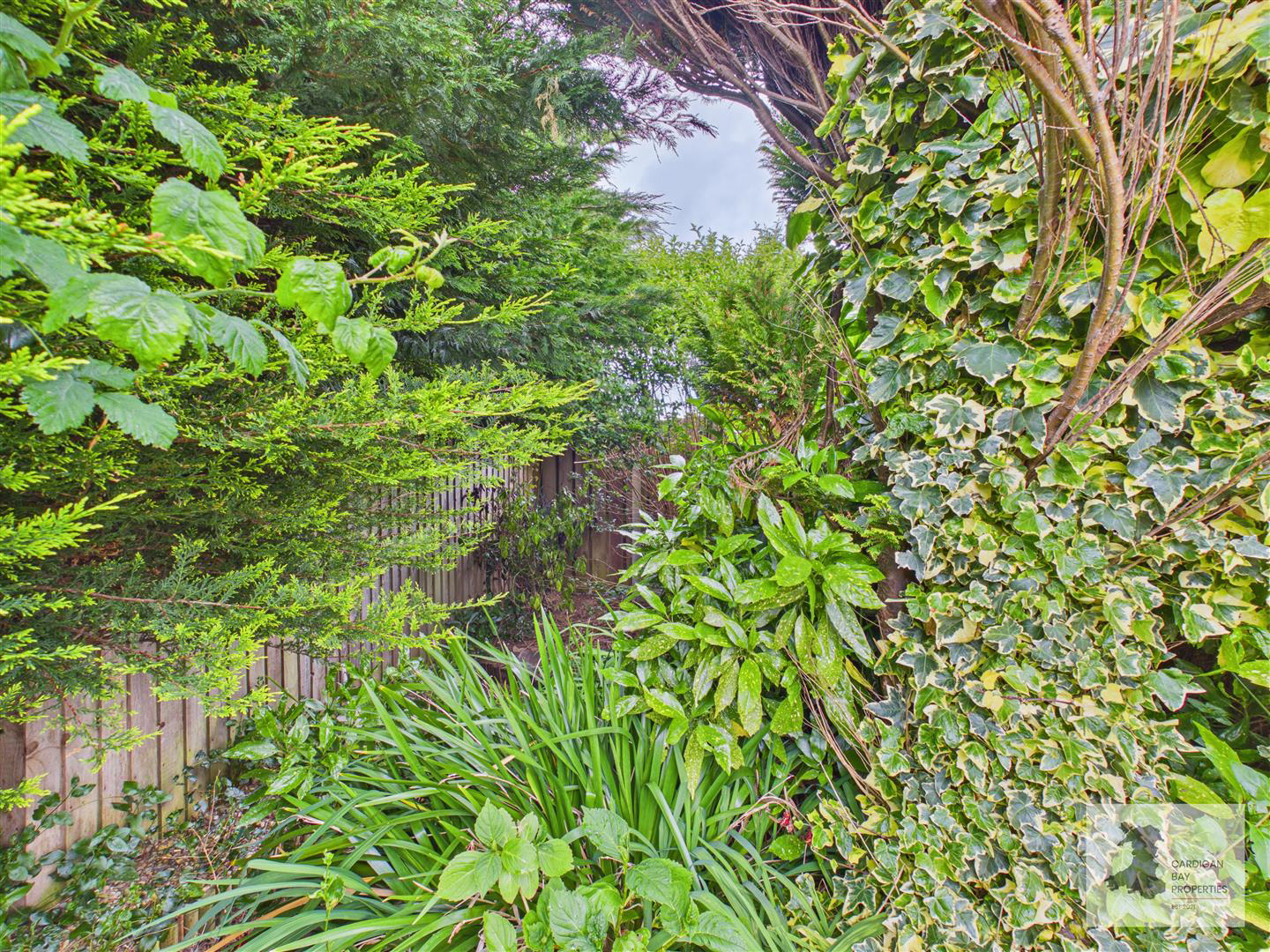 Aberporth, Cardigan, photo 23