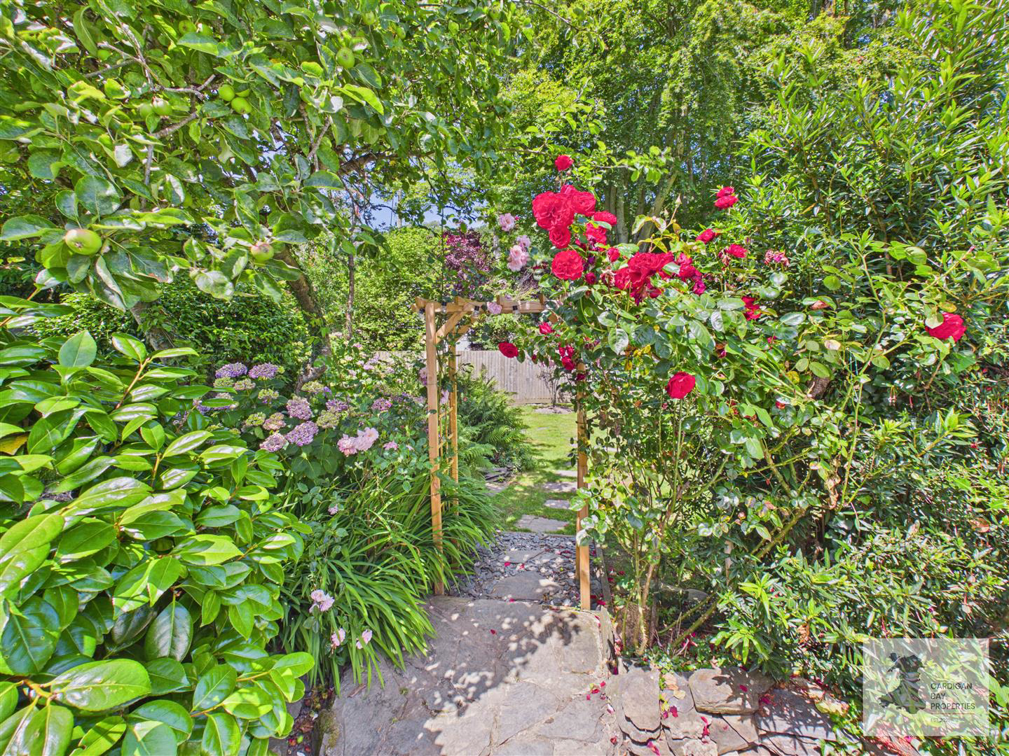 Pontgarreg, Llandysul, photo 34
