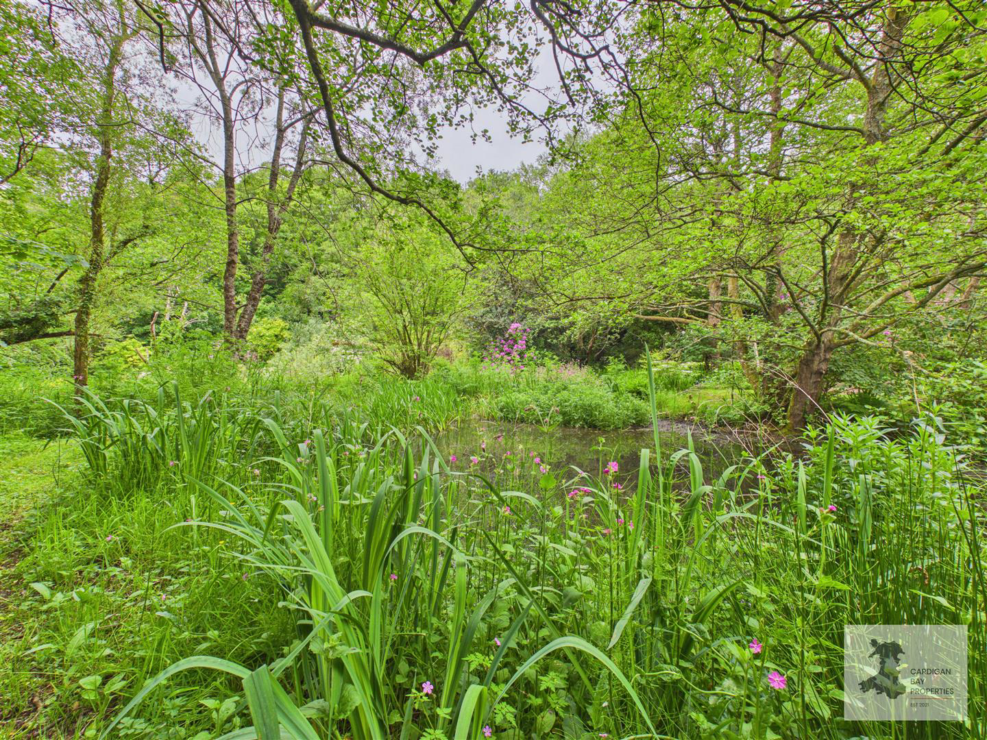 Moylegrove, Cardigan, photo 42
