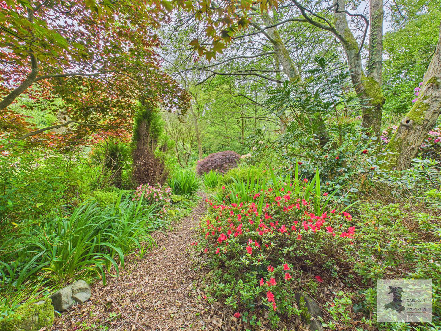 Moylegrove, Cardigan, photo 41