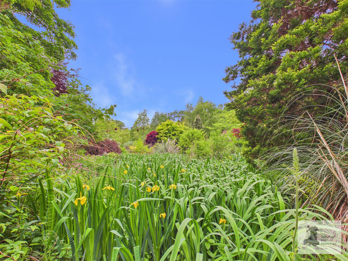 Moylegrove, Cardigan, photo 51