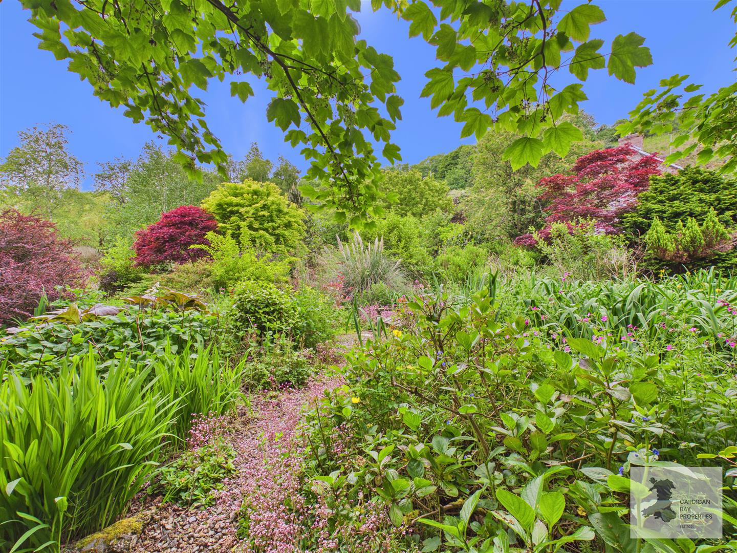 Moylegrove, Cardigan, photo 56
