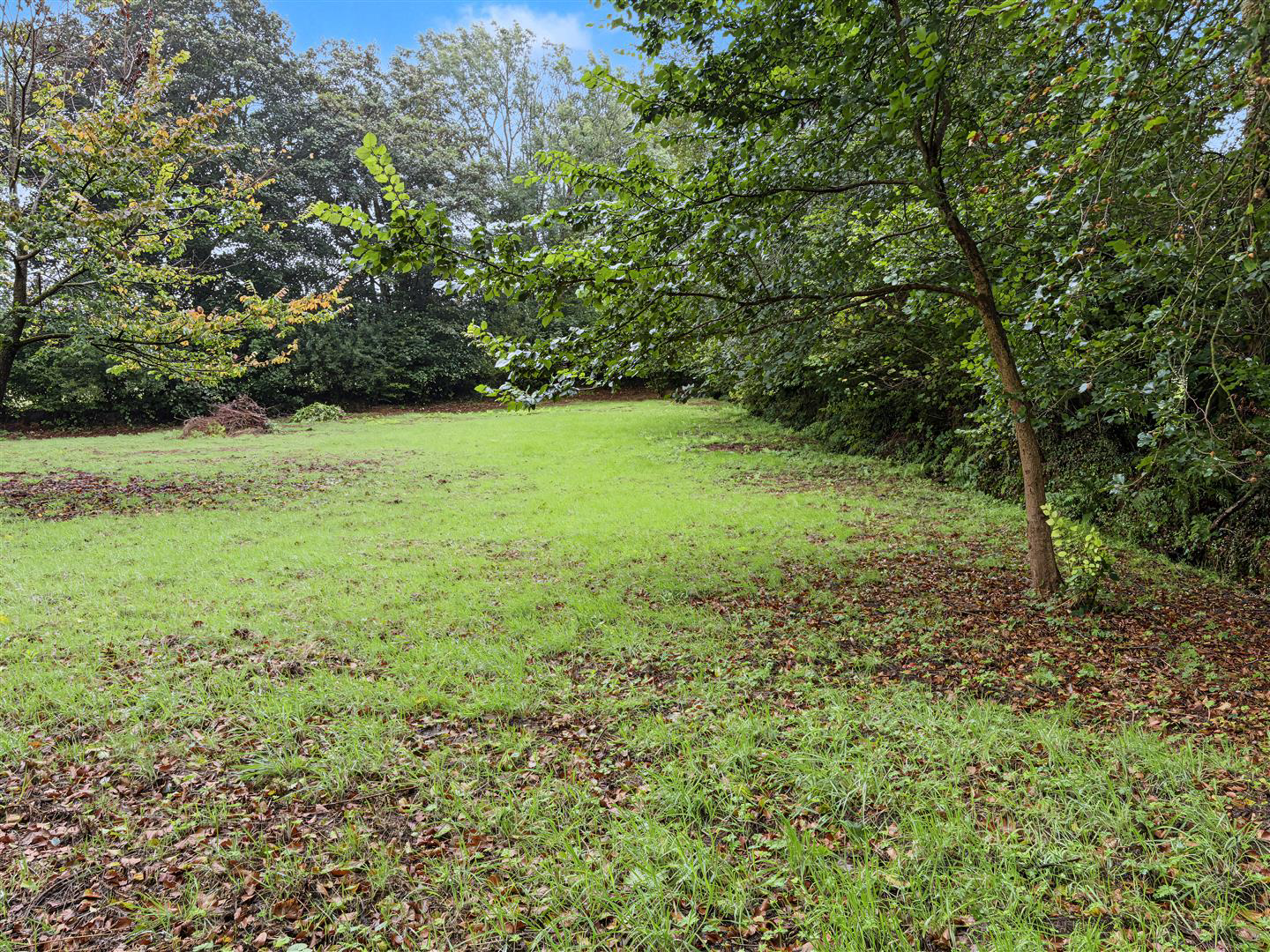 Rhydowen, Llandysul, photo 30