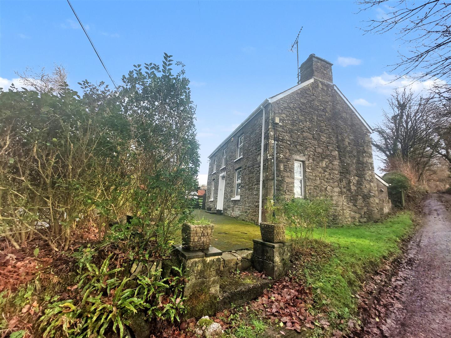 Rhydowen, Llandysul, photo 28