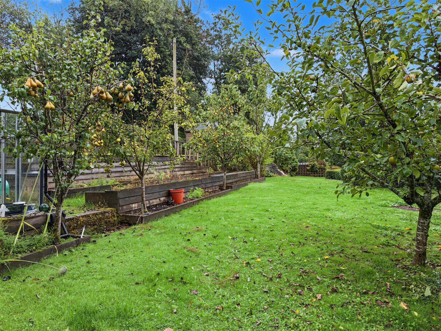 Rhydowen, Llandysul, photo 31
