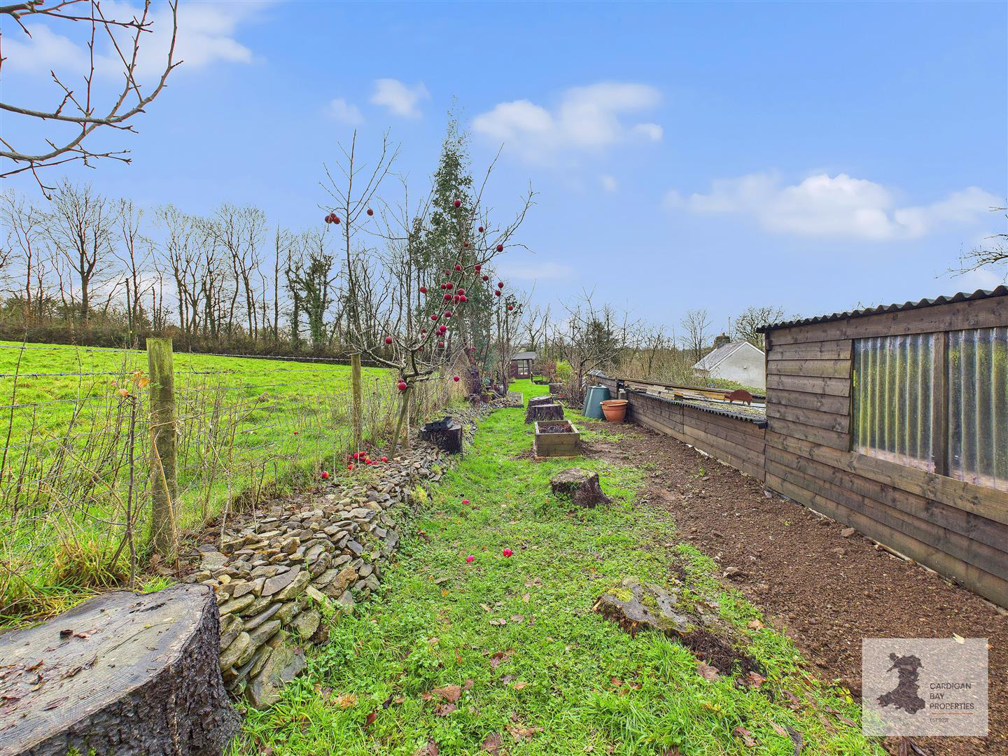 Rhydowen, Llandysul, photo 23