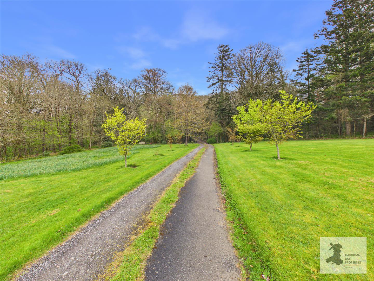 Coedmor, Llangoedmor, Cardigan, photo 17