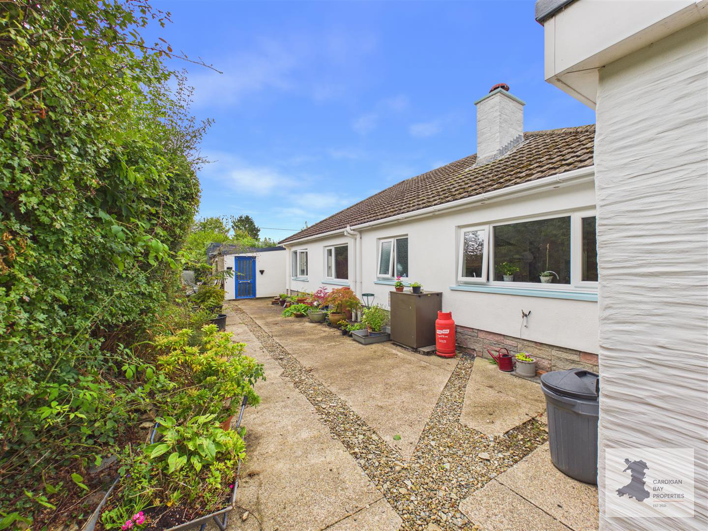 Rear Yard