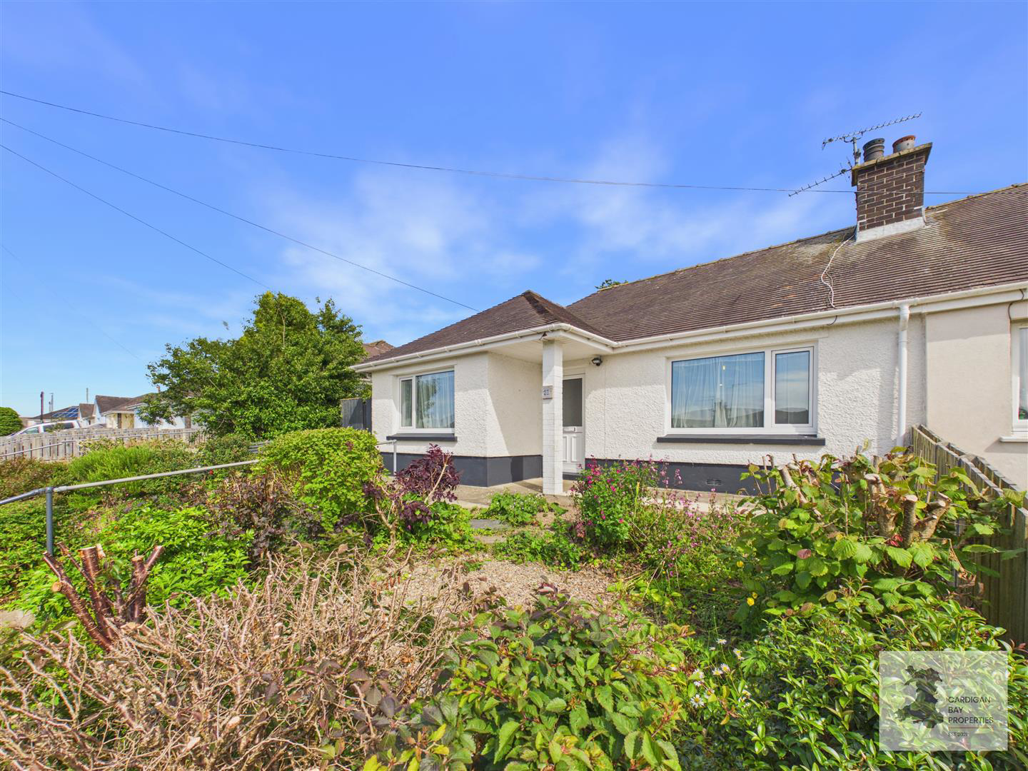 Anwylfan, Cardigan, photo 22