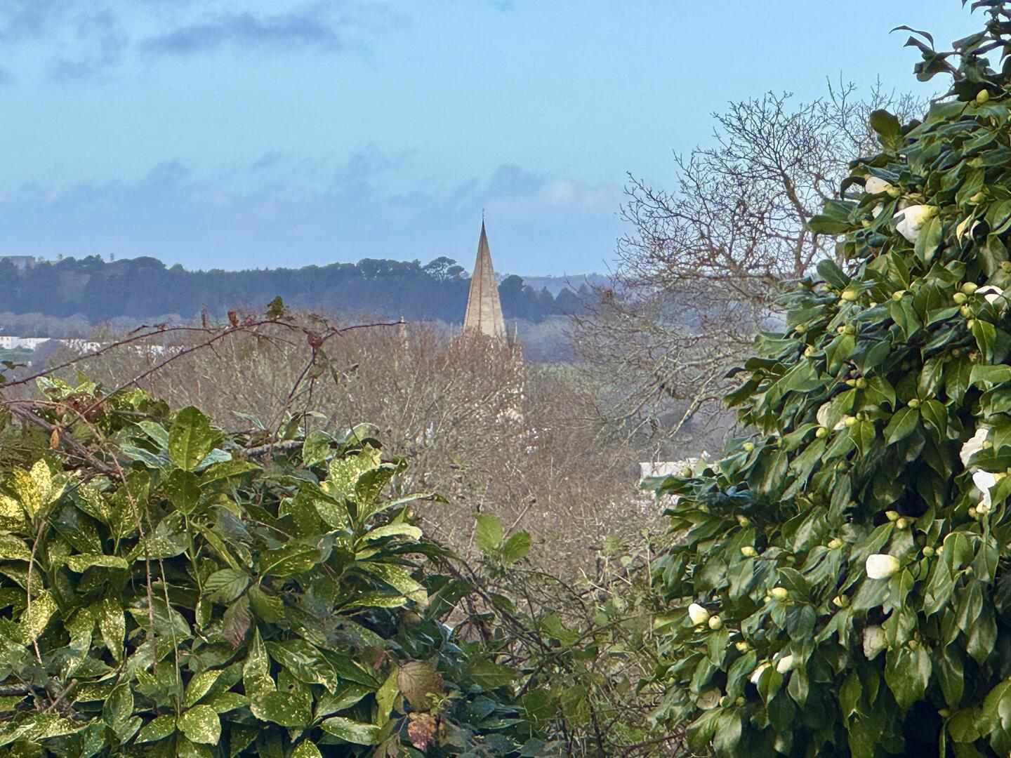 Nampara Way