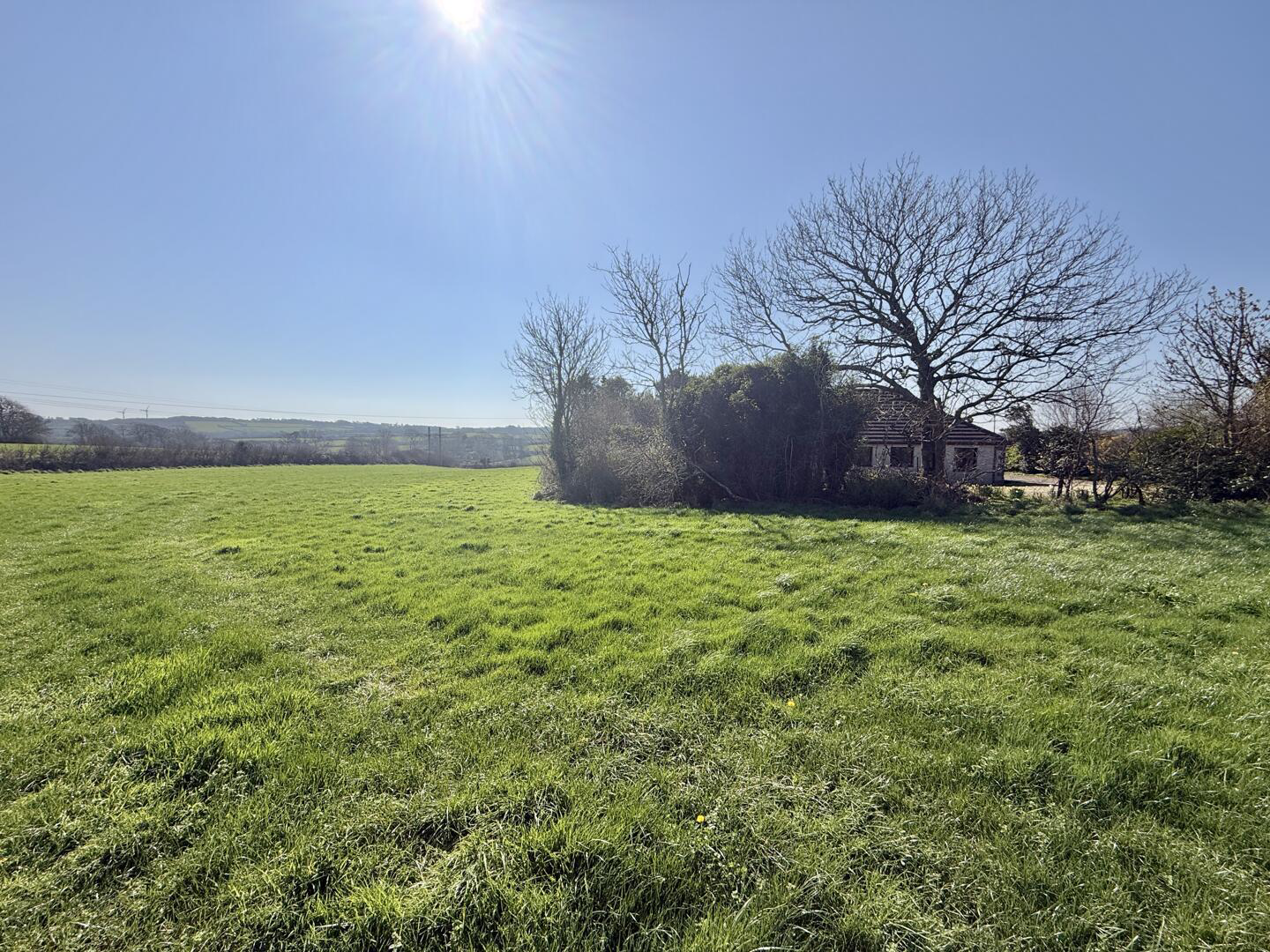 Field