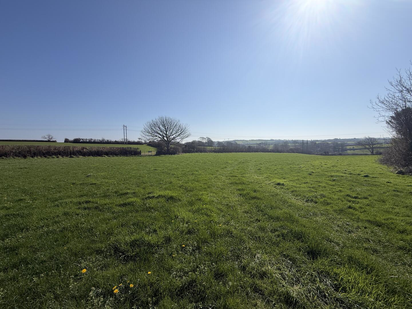 Acreage