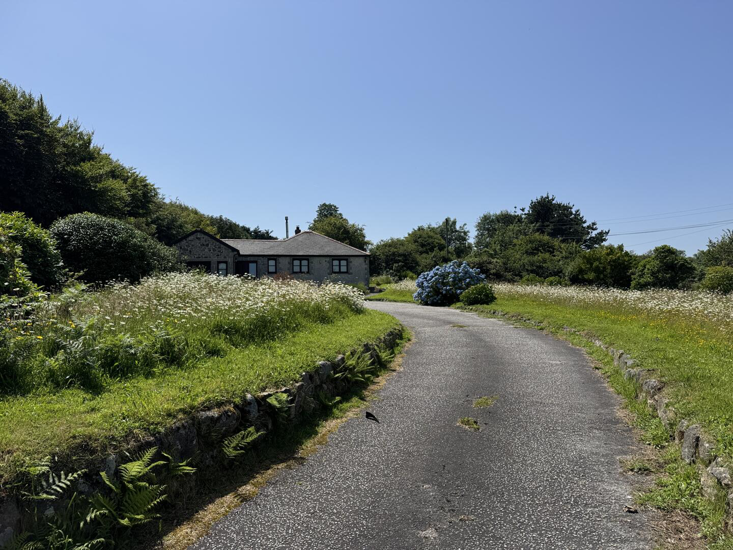Busveal, Redruth