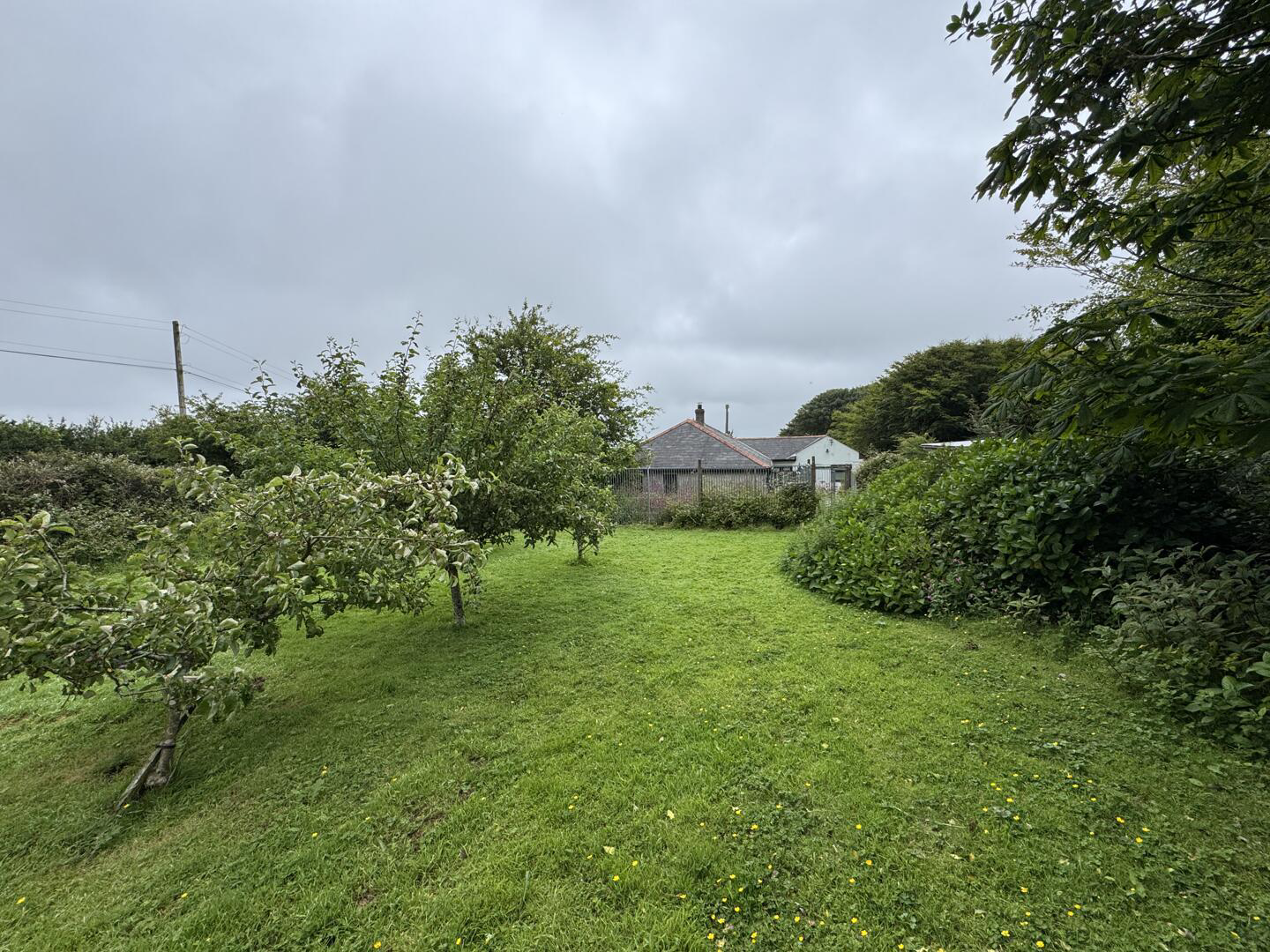 Busveal, Redruth, photo 28