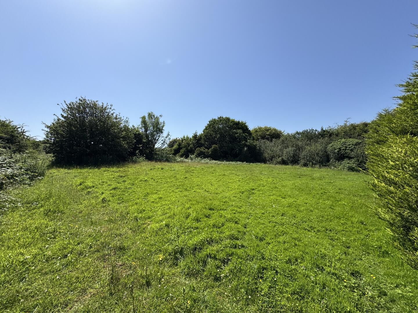 Busveal, Redruth, photo 25