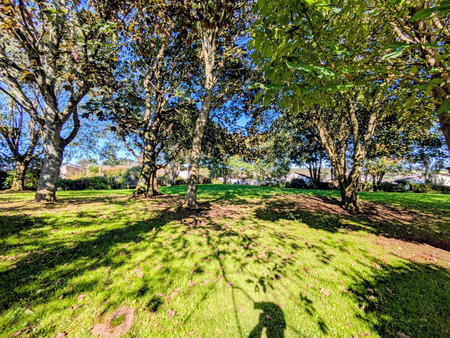 Gover Close, Mount Hawke, photo 11