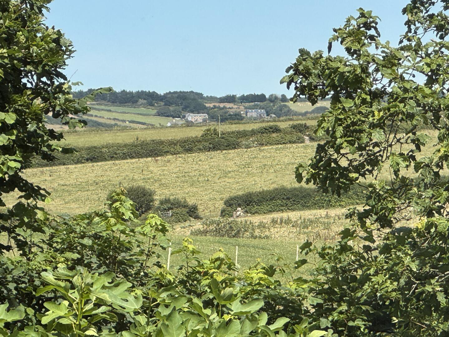 Watergate, Bridge Hill, Illogan, photo 16
