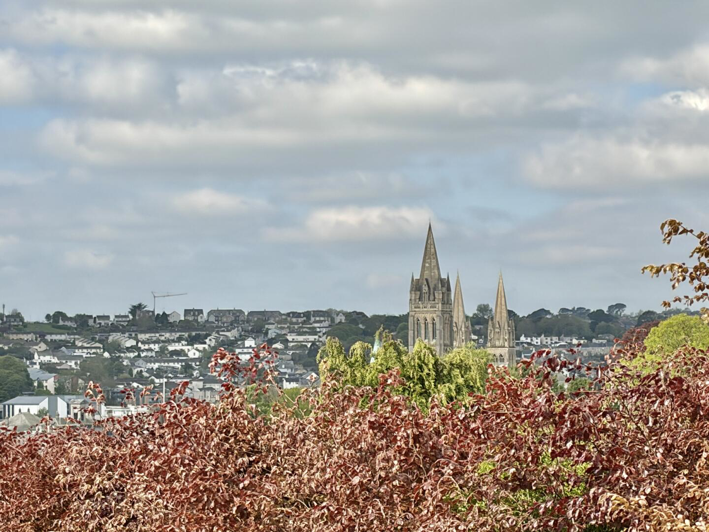 Trewidden Close, Truro, photo 14